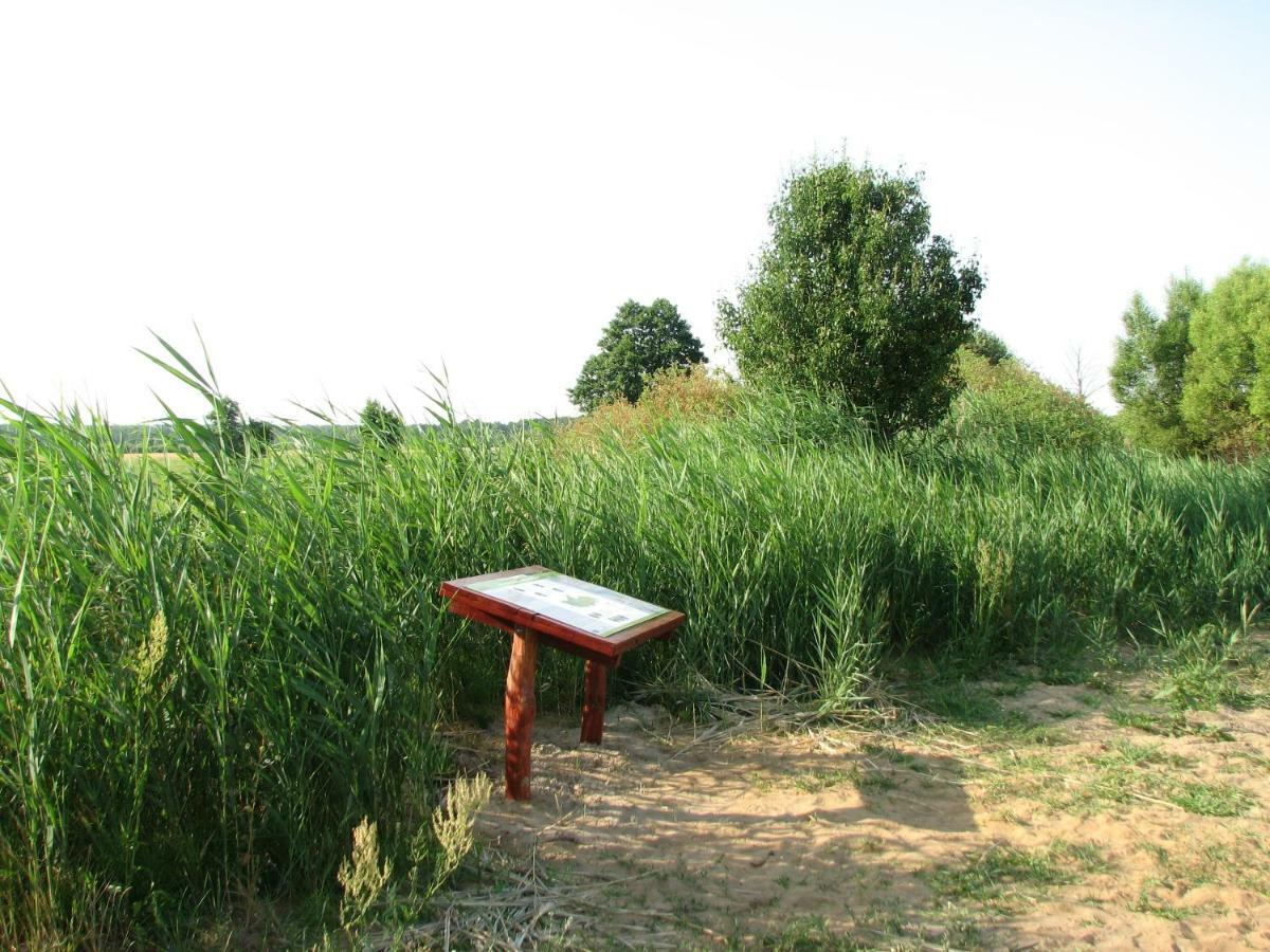 Vila Strefa Kampinos Brochów Exteriér fotografie