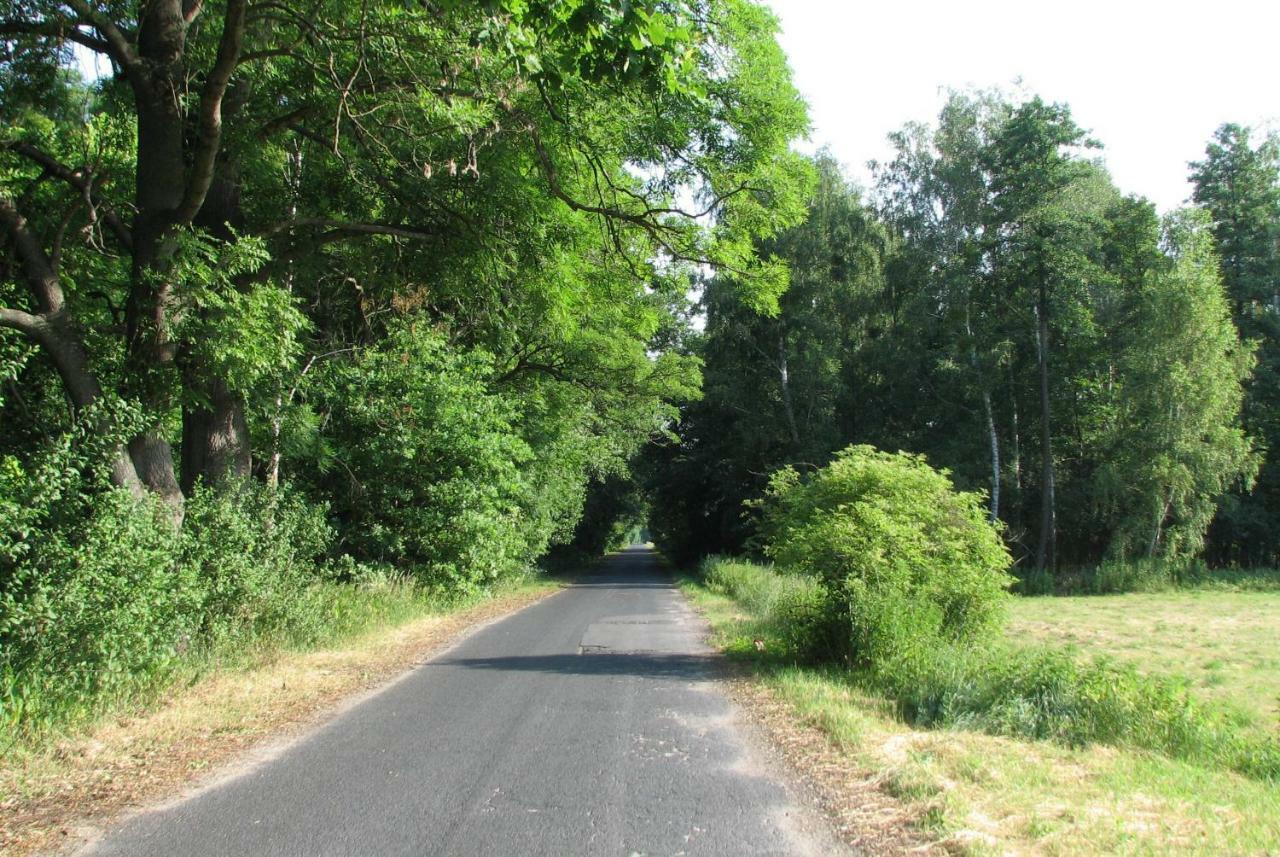 Vila Strefa Kampinos Brochów Exteriér fotografie
