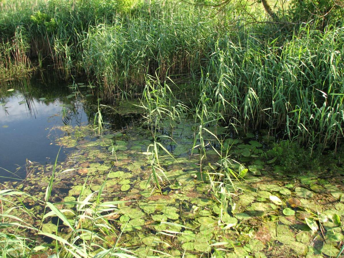 Vila Strefa Kampinos Brochów Exteriér fotografie