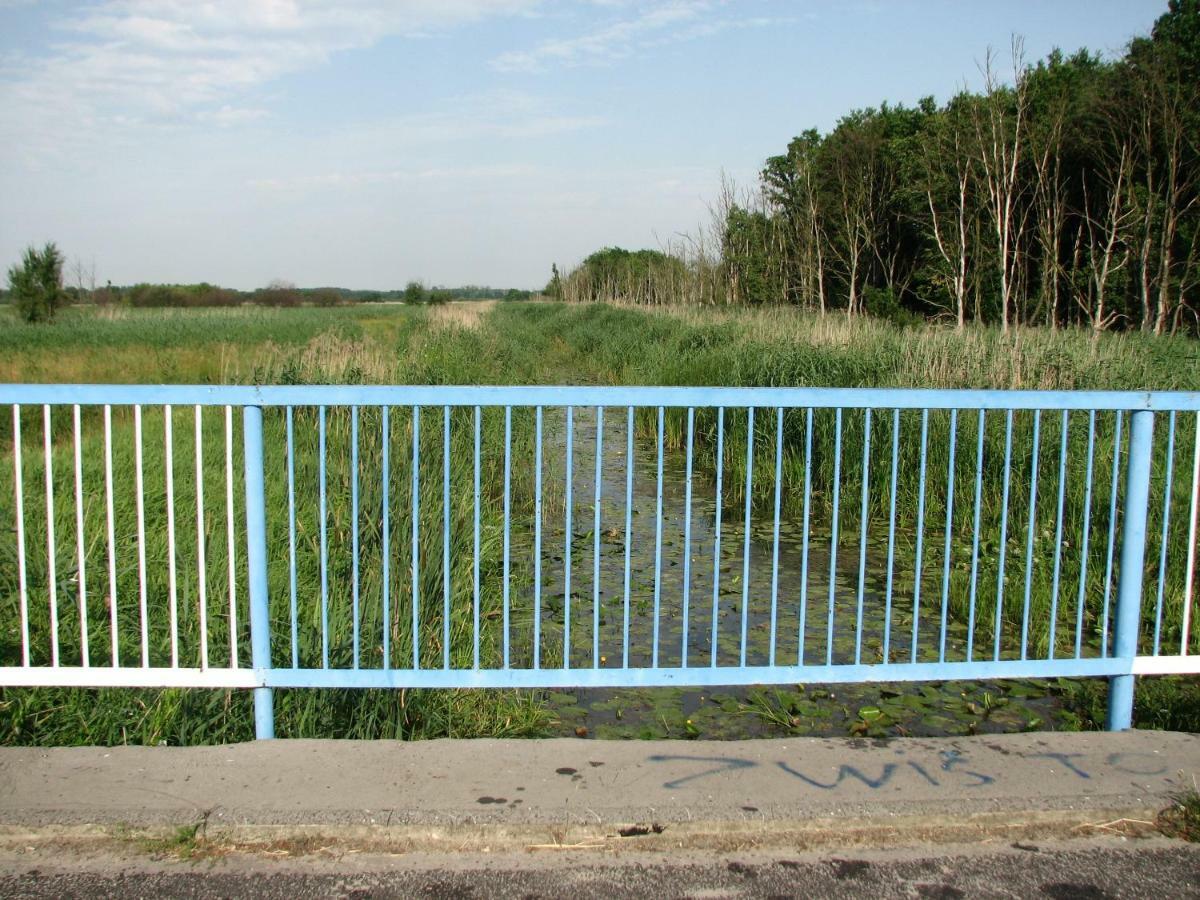 Vila Strefa Kampinos Brochów Exteriér fotografie