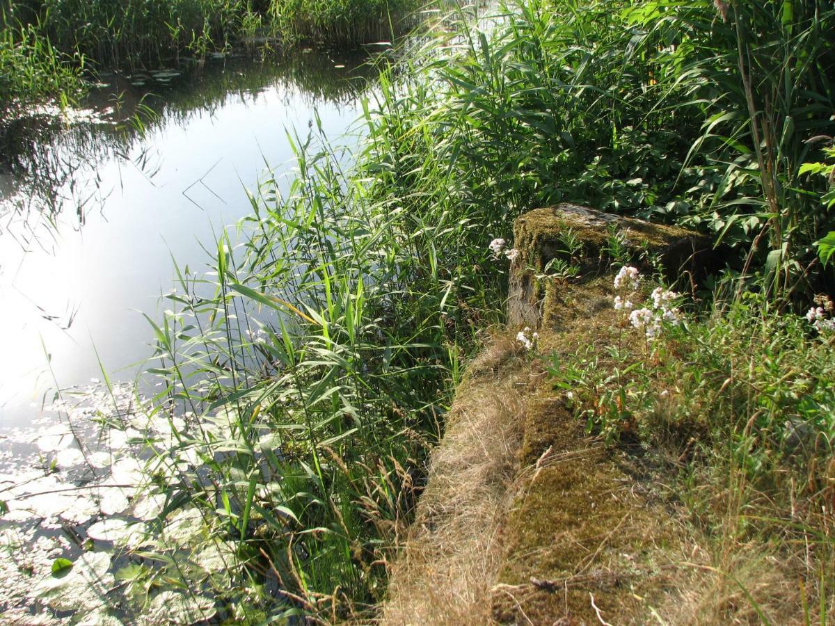 Vila Strefa Kampinos Brochów Exteriér fotografie