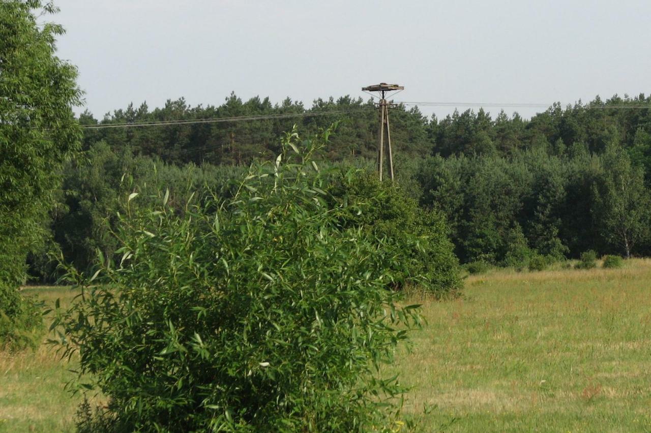 Vila Strefa Kampinos Brochów Exteriér fotografie